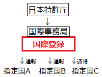 国際登録のフォローチャート
